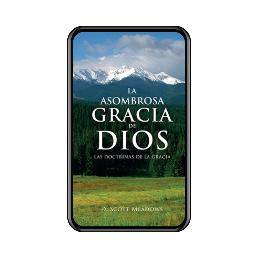 La asombrosa gracia de Dios (Ebook)
